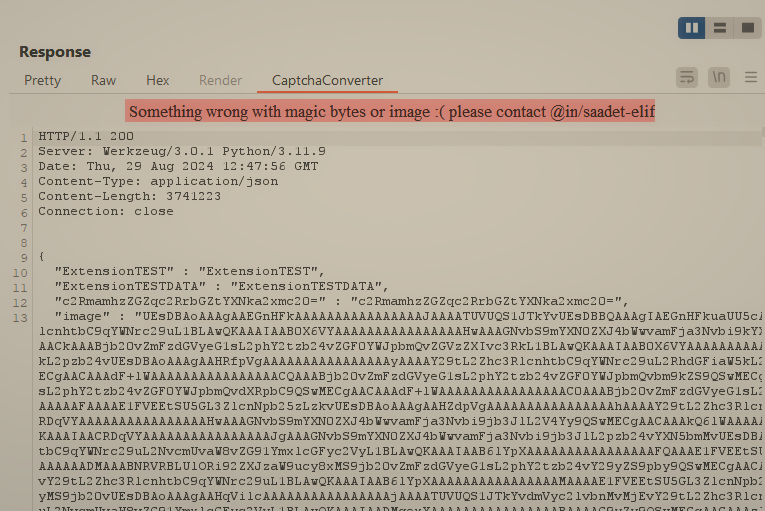 Error Message