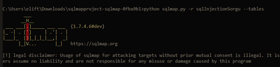 SQLmap Kullanımı